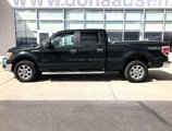 Used 2013 Ford F150 XLT image 4