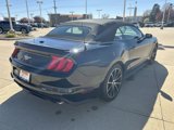 Used 2022 Ford Mustang Premium image 4