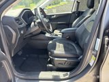Used 2022 Ford Escape SEL w/ SEL Stealth AWD Package image 4