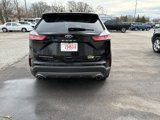 Used 2024 Ford Edge Titanium image 6