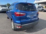 Used 2020 Ford EcoSport SE image 4