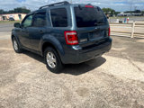 Used 2012 Ford Escape XLT image 5