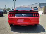 Used 2016 Ford Mustang Coupe image 4