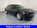 Used 2021 Dodge Charger SXT w/ Leather Interior Group image 2