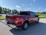 Certified 2016 Ford F150 XLT w/ Equipment Group 302A Luxury image 5