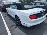 Used 2023 Ford Mustang Premium image 4