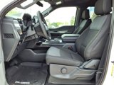 New 2025 Ford F150 STX w/ Equipment Group 200A image 3