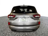 Used 2024 Ford Escape ST-Line image 5
