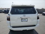 Used 2021 Toyota 4Runner SR5 Premium w/ Moonroof Package image 6