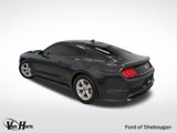 Used 2022 Ford Mustang Coupe image 3