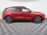 Used 2022 Ford Escape Titanium image 6