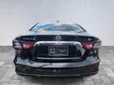Used 2020 Nissan Maxima 3.5 SV image 5
