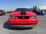 Used 2004 Ford Mustang Mach 1 image 4