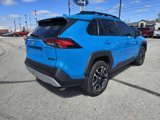 Used 2019 Toyota RAV4 Adventure image 3