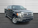 Used 2014 Ford F150 XLT w/ XLT Chrome Package image 2