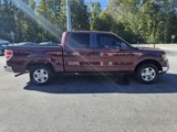 Used 2010 Ford F150 XLT image 2