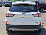 Used 2020 Ford Escape SE Sport image 4