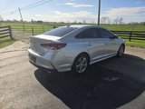 Used 2019 Hyundai Sonata Limited image 5