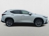 New 2025 Lexus NX 350 AWD w/ Accessory Package (2T) image 4