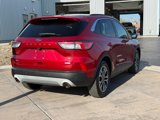 Used 2020 Ford Escape SEL image 5