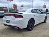Used 2022 Dodge Charger SXT w/ Blacktop Package image 4