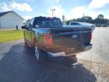 New 2024 Ford F150 XLT w/ Equipment Group 302A MID image 6