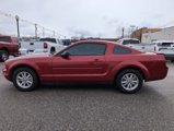 Used 2008 Ford Mustang Coupe image 5