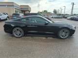 Used 2015 Ford Mustang Premium image 4