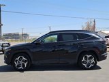 Used 2024 Hyundai Tucson Limited image 2