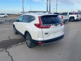 Used 2019 Honda CR-V EX-L image 4