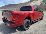 New 2025 Ford F150 XLT w/ Equipment Group 301A Standard image 4