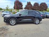 Used 2022 Ford Escape SE w/ Convenience Package image 2