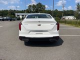 Used 2023 Cadillac CT4 Premium Luxury w/ Climate Package image 6