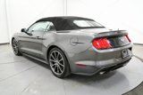 Used 2019 Ford Mustang Premium w/ Equipment Group 201A image 5