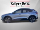 Used 2022 Ford Escape SEL w/ SEL Stealth AWD Package image 4
