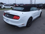 Certified 2022 Ford Mustang Premium image 3