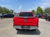 Used 2016 Ford F150 XLT w/ Equipment Group 302A Luxury image 3