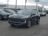 Certified 2022 Ford Escape SEL image 2