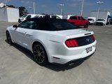 Certified 2022 Ford Mustang Premium w/ Wheel & Stripe Package image 3