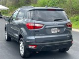 Used 2019 Ford EcoSport SE image 3