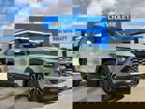 View Video