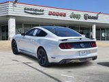Used 2017 Ford Mustang GT Premium w/ Equipment Group 401A image 4
