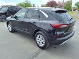 Certified 2023 Ford Escape Active image 3
