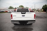 Used 2015 Ford F150 XLT w/ Equipment Group 302A Luxury image 4