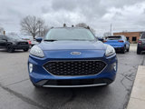 Used 2022 Ford Escape Titanium image 5