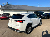 Used 2020 Lexus NX 300h AWD w/ Comfort Package image 4