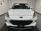 Used 2020 Ford Escape SE image 4