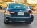 Used 2010 Honda Accord EX-L image 5