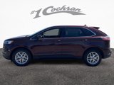 Used 2023 Ford Edge SEL image 4