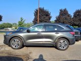 Certified 2020 Ford Escape SEL image 2